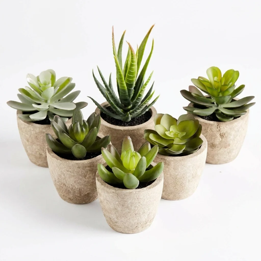 PRIMAISON Artificial Succulent Plants Set of 6 | Faux Potted Plants