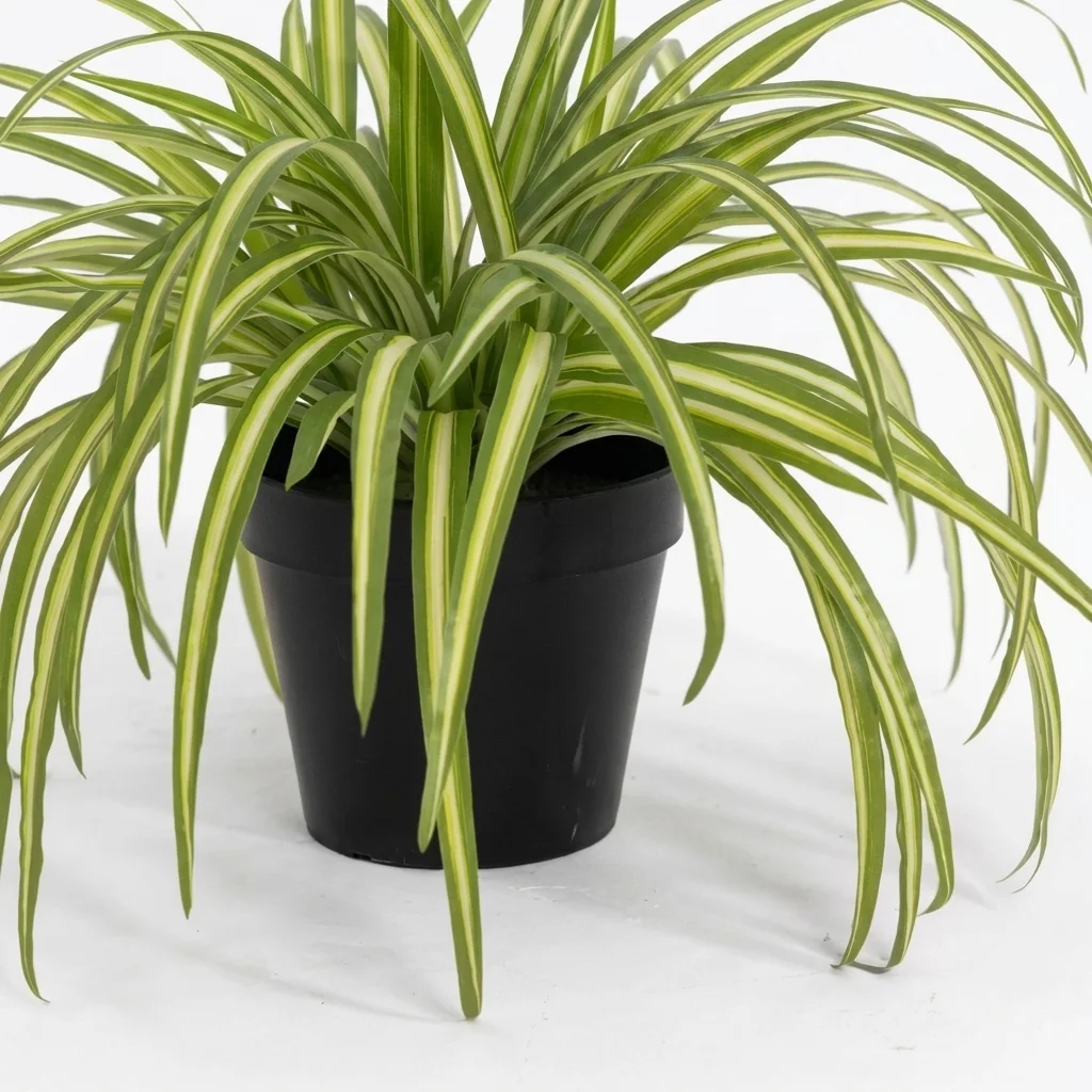Blooming Artificial Boston Fern Plant | Realistic Indoor Fern 50cm thumbnail 3