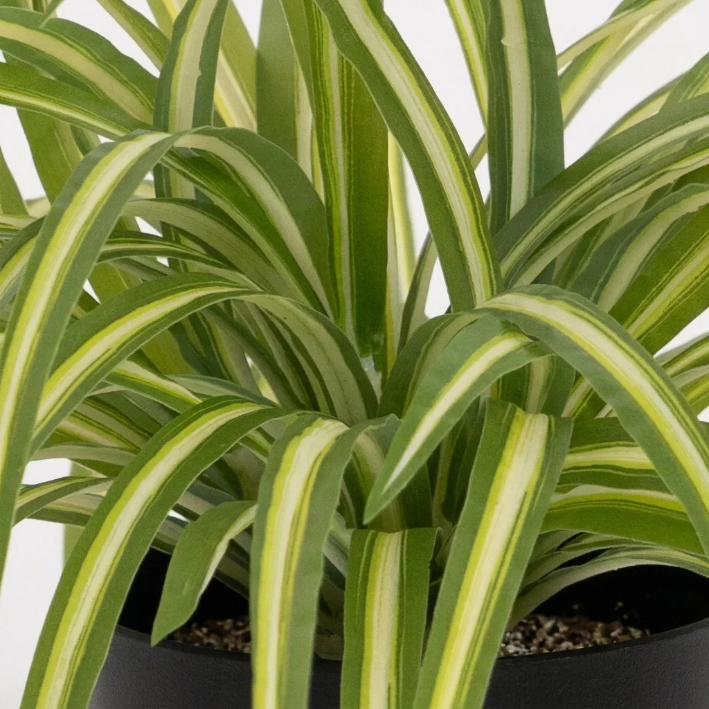 Blooming Artificial Boston Fern Plant | Realistic Indoor Fern 50cm thumbnail 2