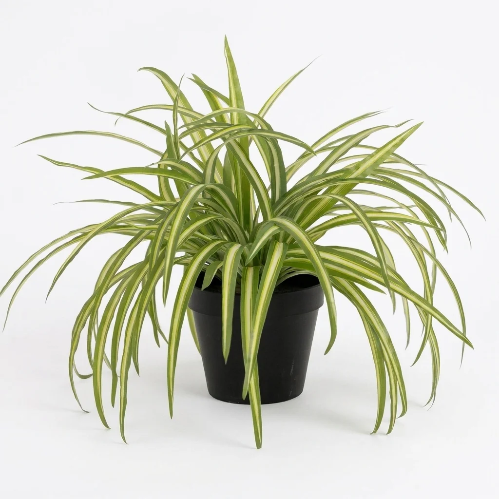 Blooming Artificial Boston Fern Plant | Realistic Indoor Fern 50cm